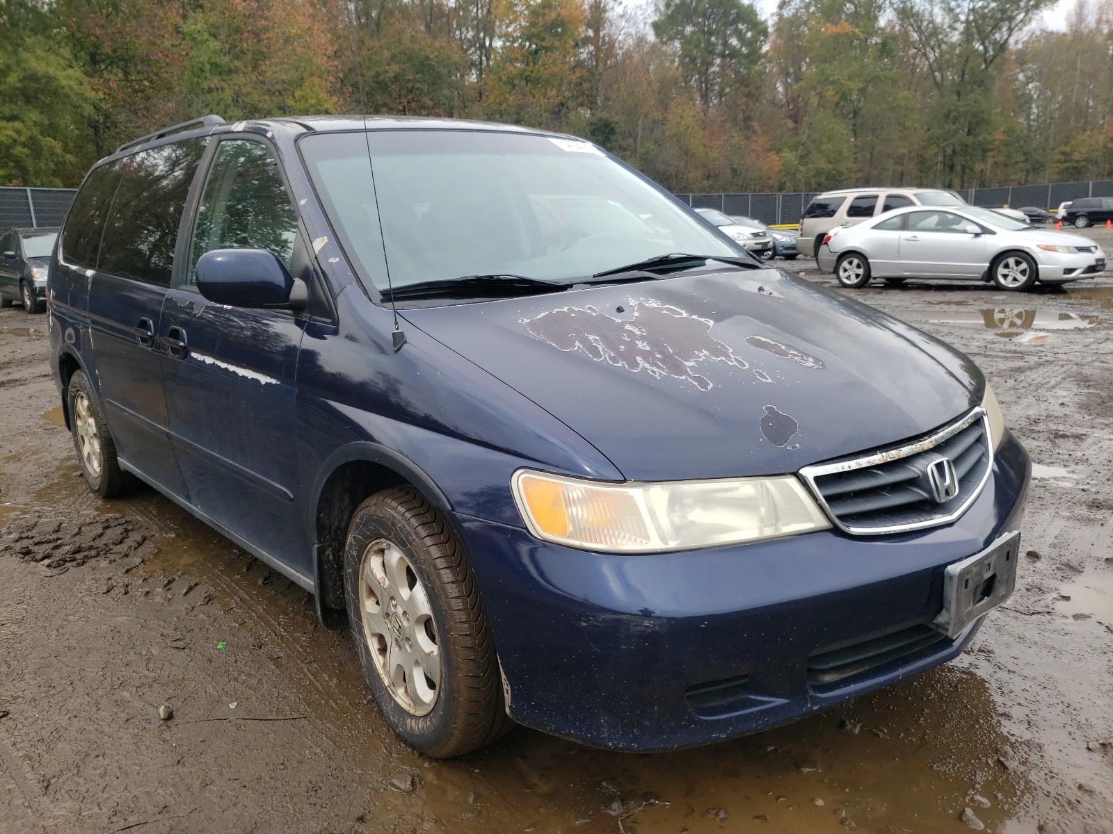 HONDA ODYSSEY 2004 5fnrl18834b084529