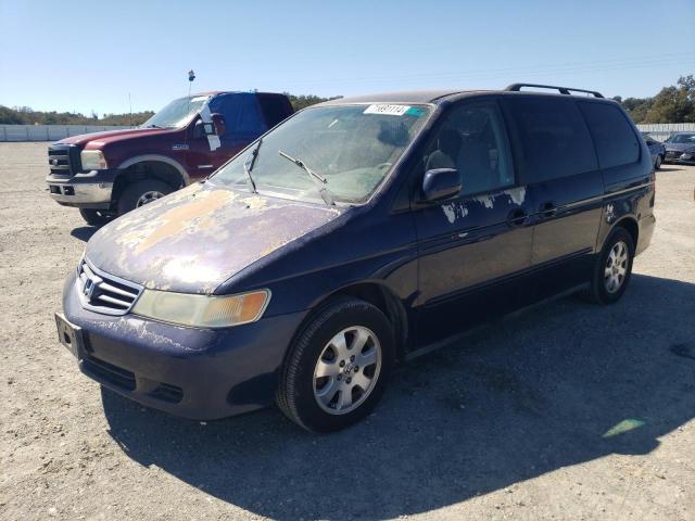 HONDA ODYSSEY EX 2004 5fnrl18844b119207