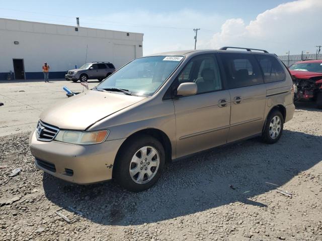 HONDA ODYSSEY EX 2004 5fnrl18964b023457