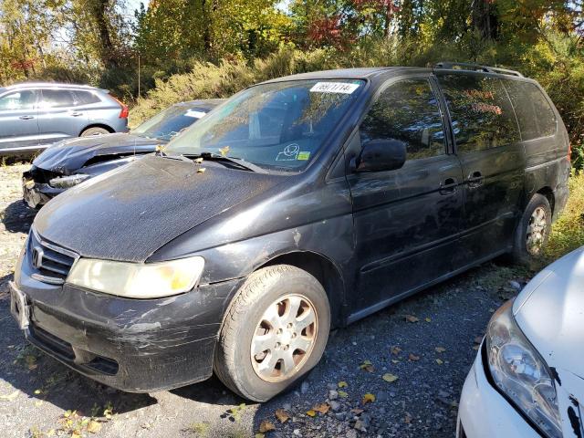 HONDA ODYSSEY EX 2004 5fnrl18974b059187