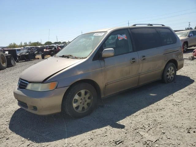 HONDA ODYSSEY EX 2004 5fnrl18994b032539