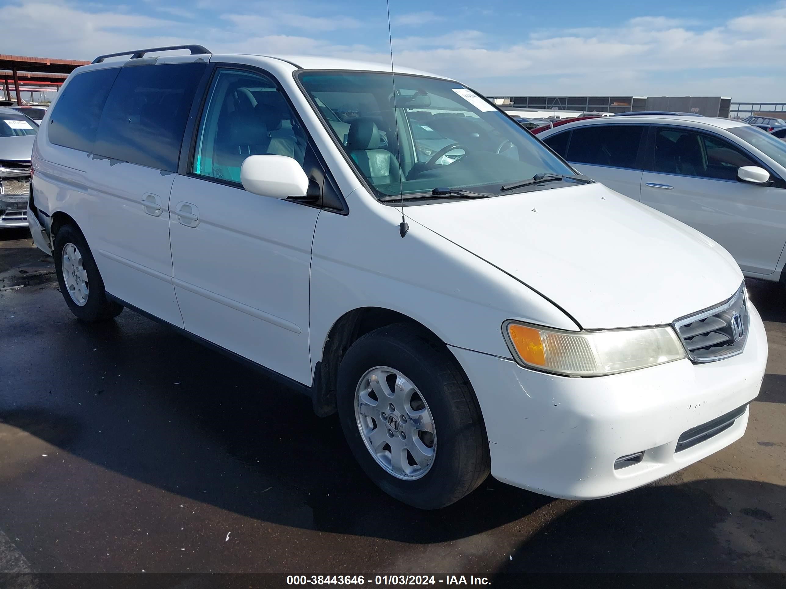 HONDA ODYSSEY 2004 5fnrl189x4b092412