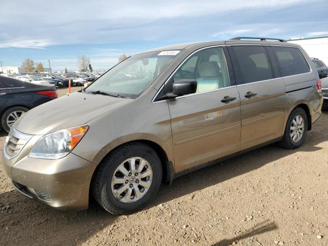 HONDA ODYSSEY LX 2009 5fnrl38239b504272