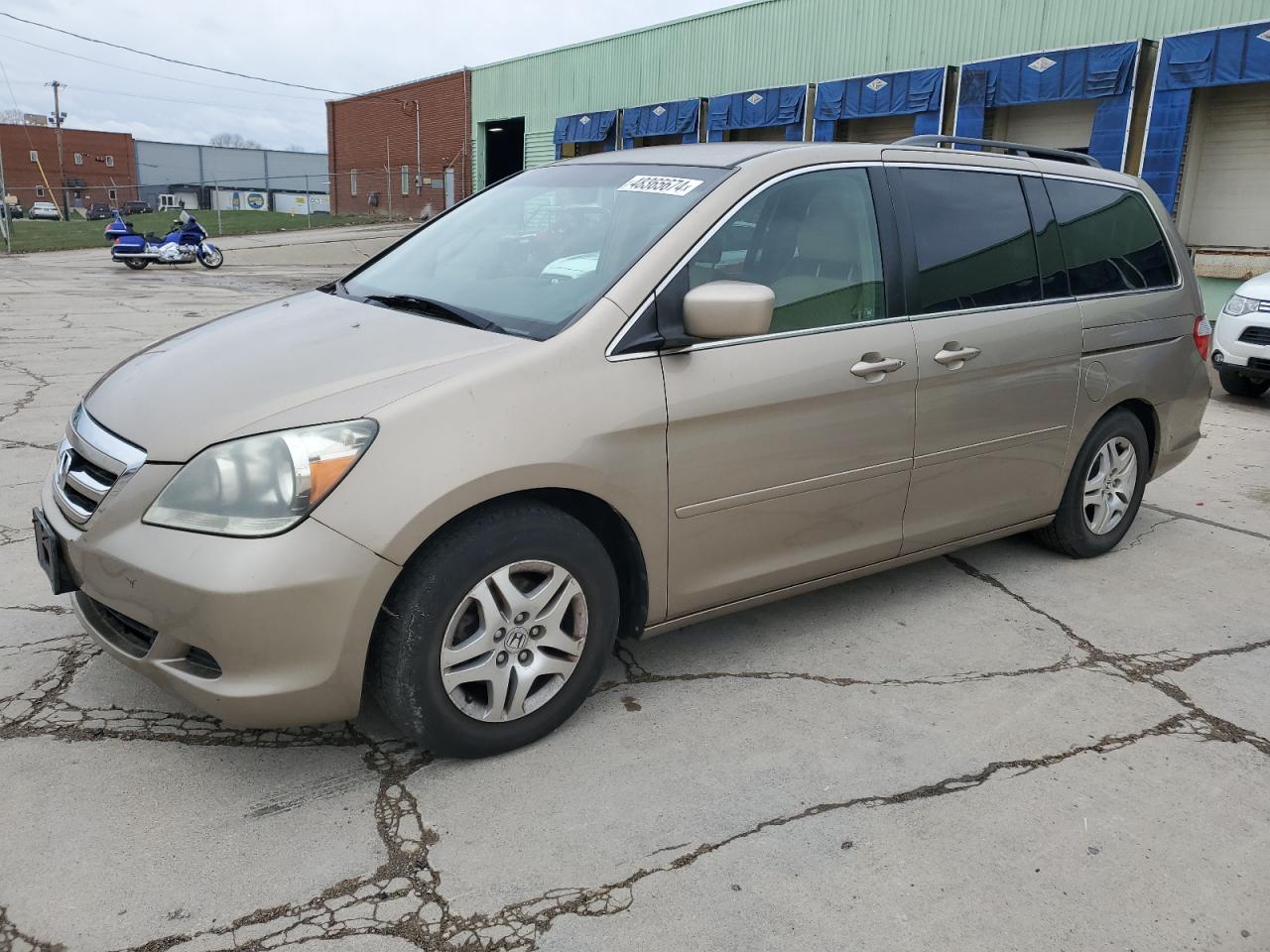 HONDA ODYSSEY 2006 5fnrl38406b040211