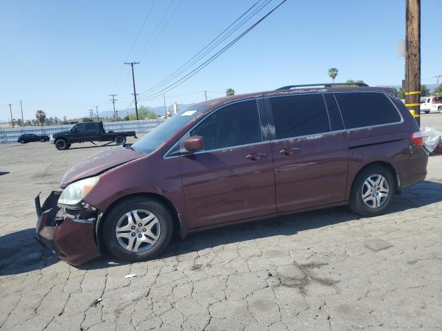 HONDA ODYSSEY EX 2007 5fnrl38407b033423