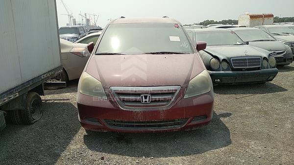 HONDA ODYSSEY 2005 5fnrl38415b019205