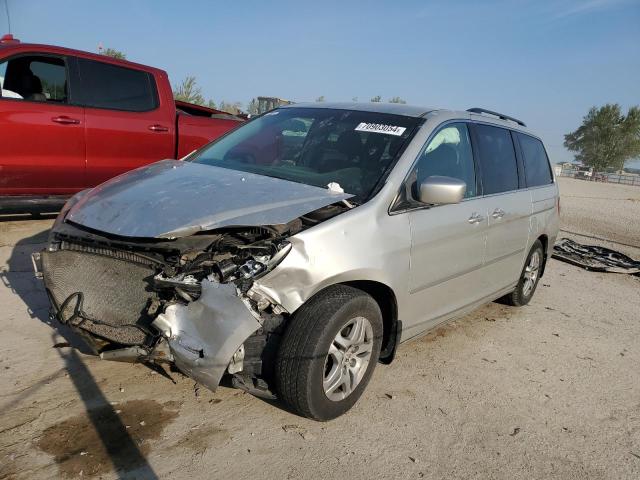 HONDA ODYSSEY EX 2005 5fnrl38415b419751