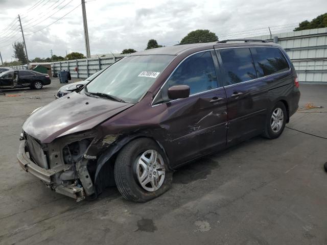 HONDA ODYSSEY EX 2007 5fnrl38427b057187