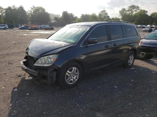 HONDA ODYSSEY EX 2005 5fnrl38435b424451