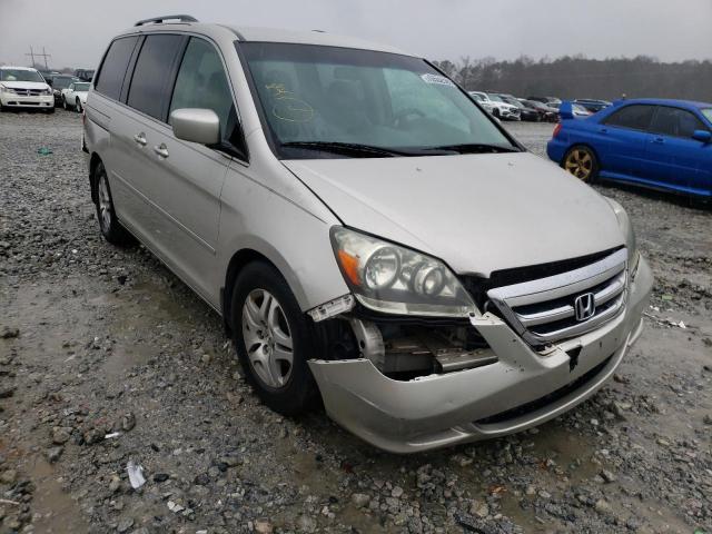 HONDA ODYSSEY EX 2006 5fnrl38436b061408