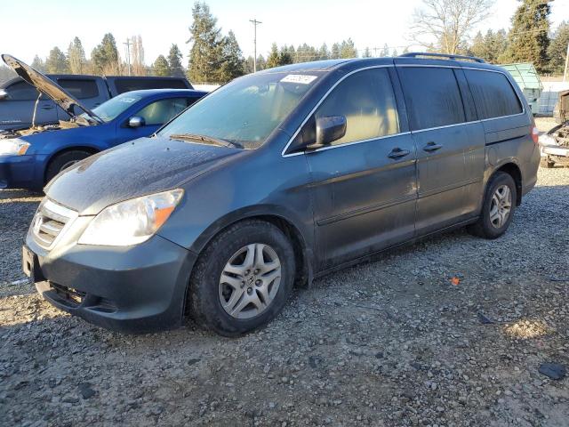 HONDA ODYSSEY 2006 5fnrl38436b085529