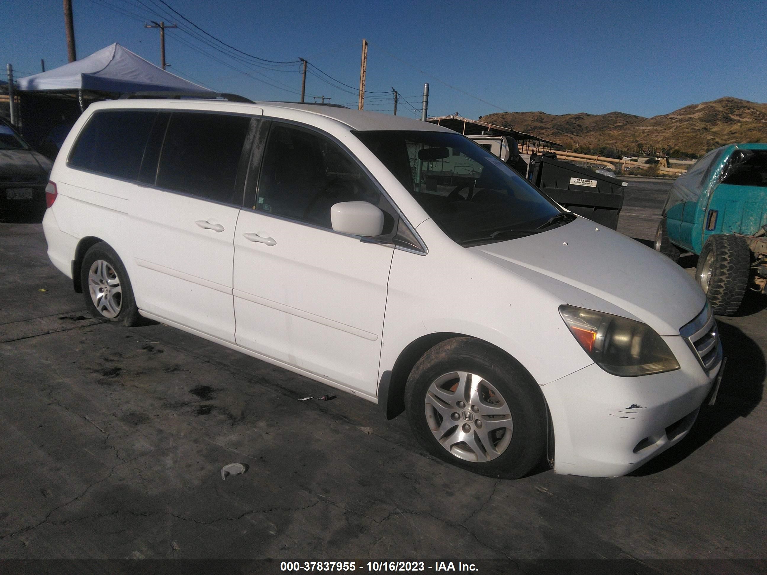 HONDA ODYSSEY 2006 5fnrl38436b405254