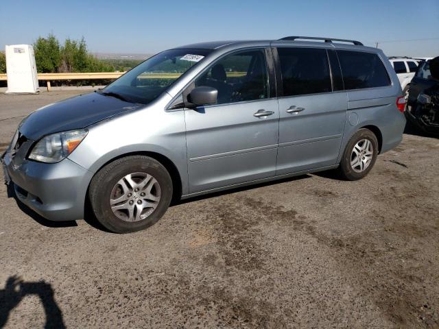 HONDA ODYSSEY EX 2007 5fnrl38437b010654