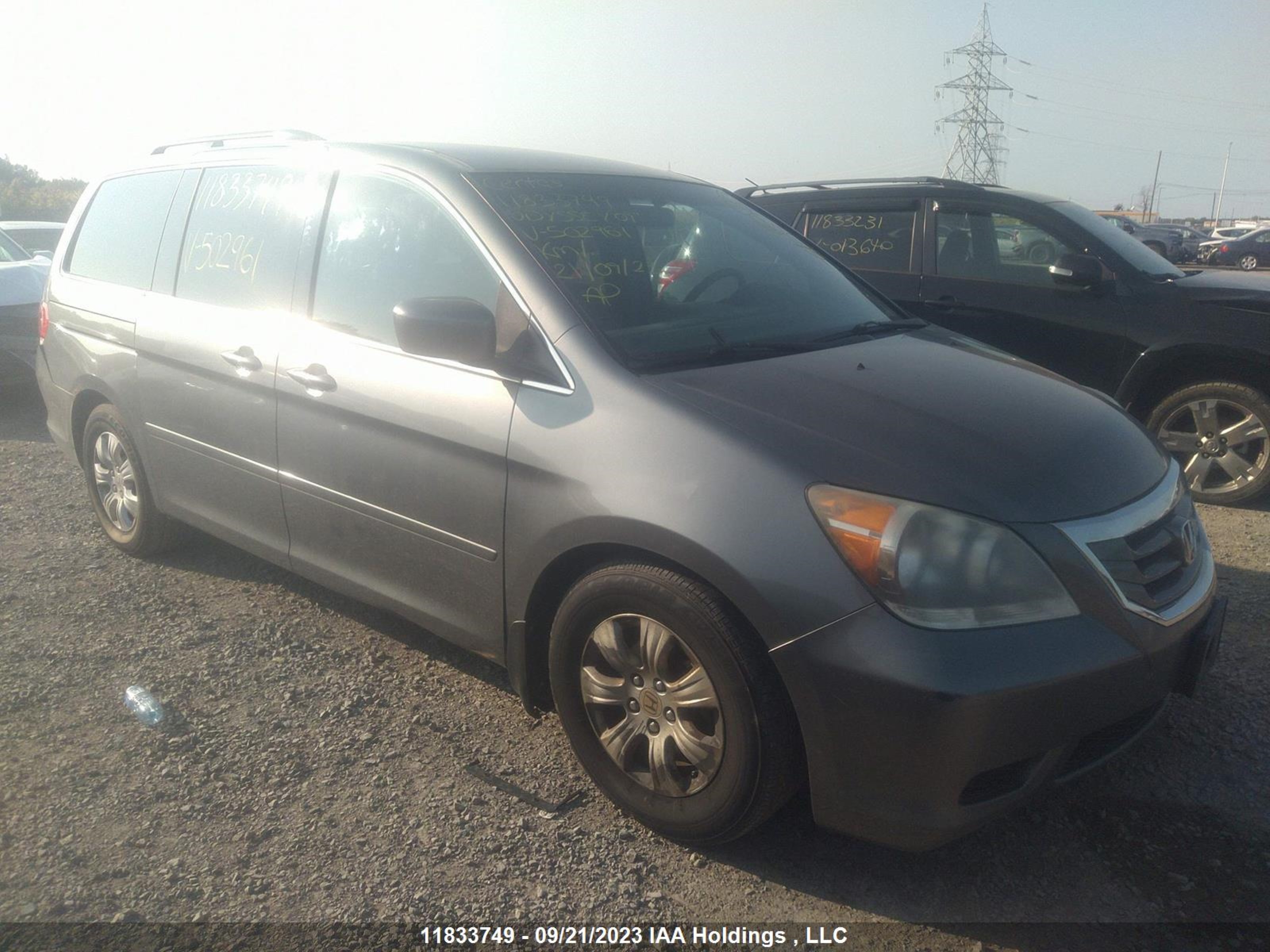 HONDA ODYSSEY 2009 5fnrl38439b502961