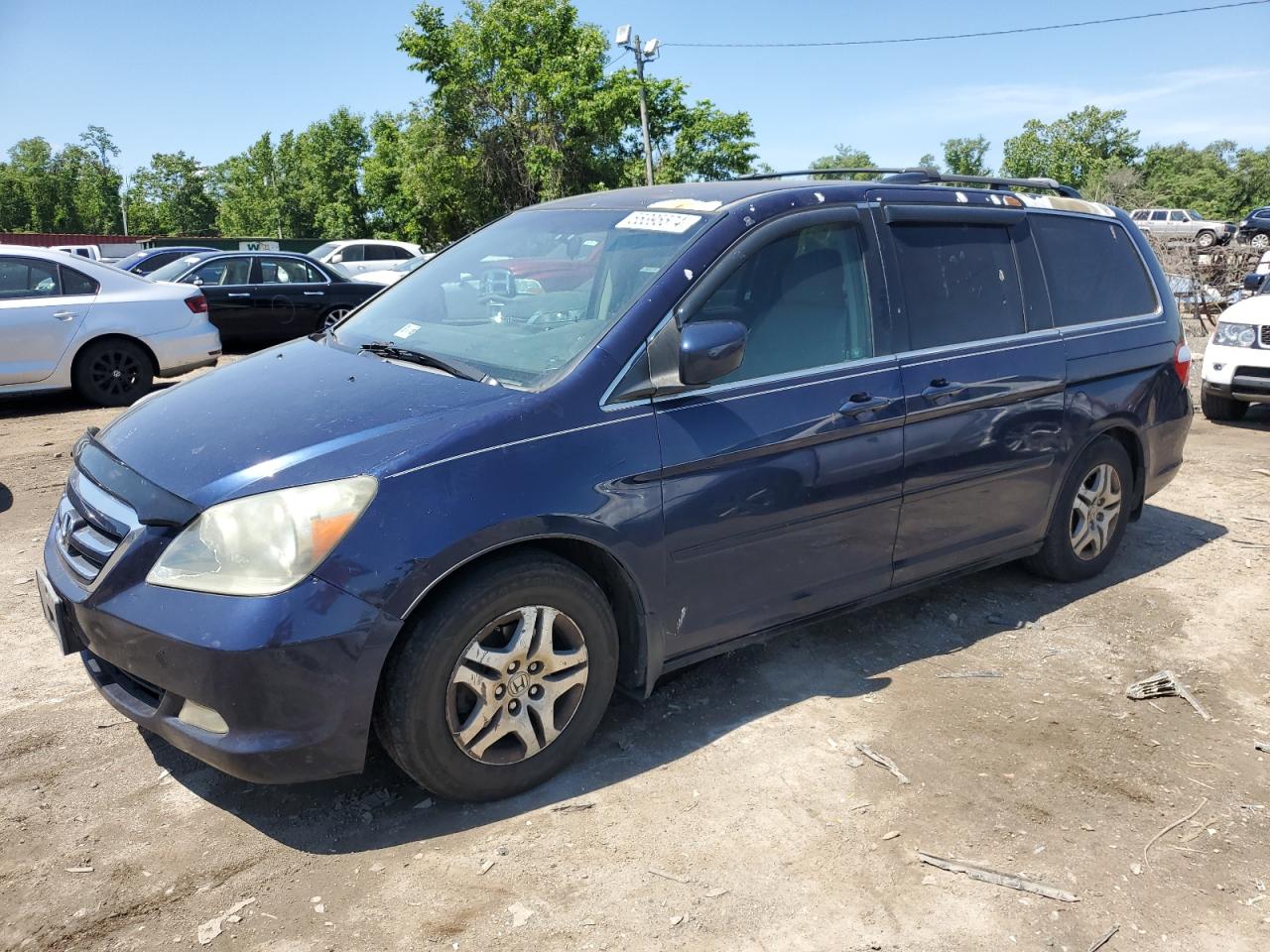 HONDA ODYSSEY 2005 5fnrl38445b069936