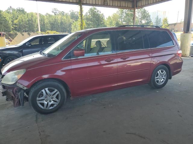 HONDA ODYSSEY EX 2005 5fnrl38445b401891