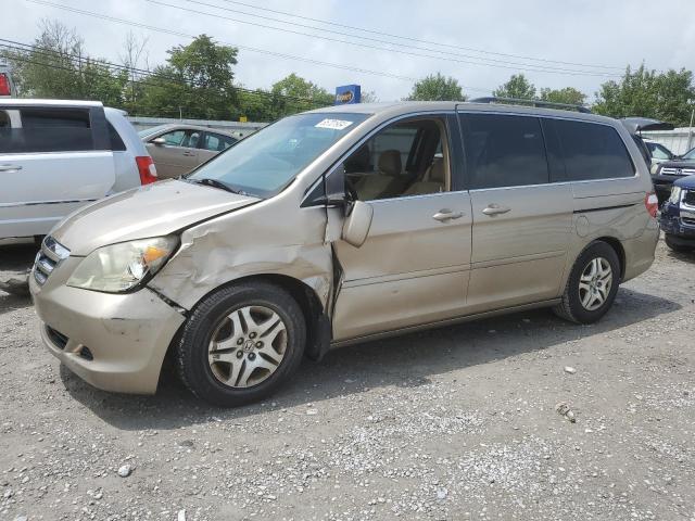 HONDA ODYSSEY EX 2005 5fnrl38445b424247