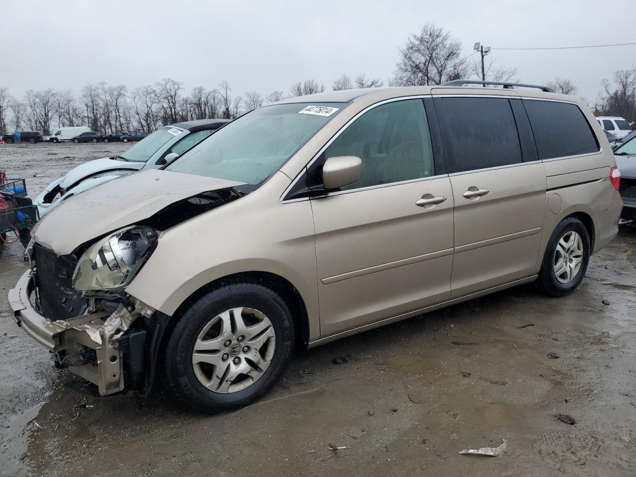 HONDA ODYSSEY 2005 5fnrl38445b425009