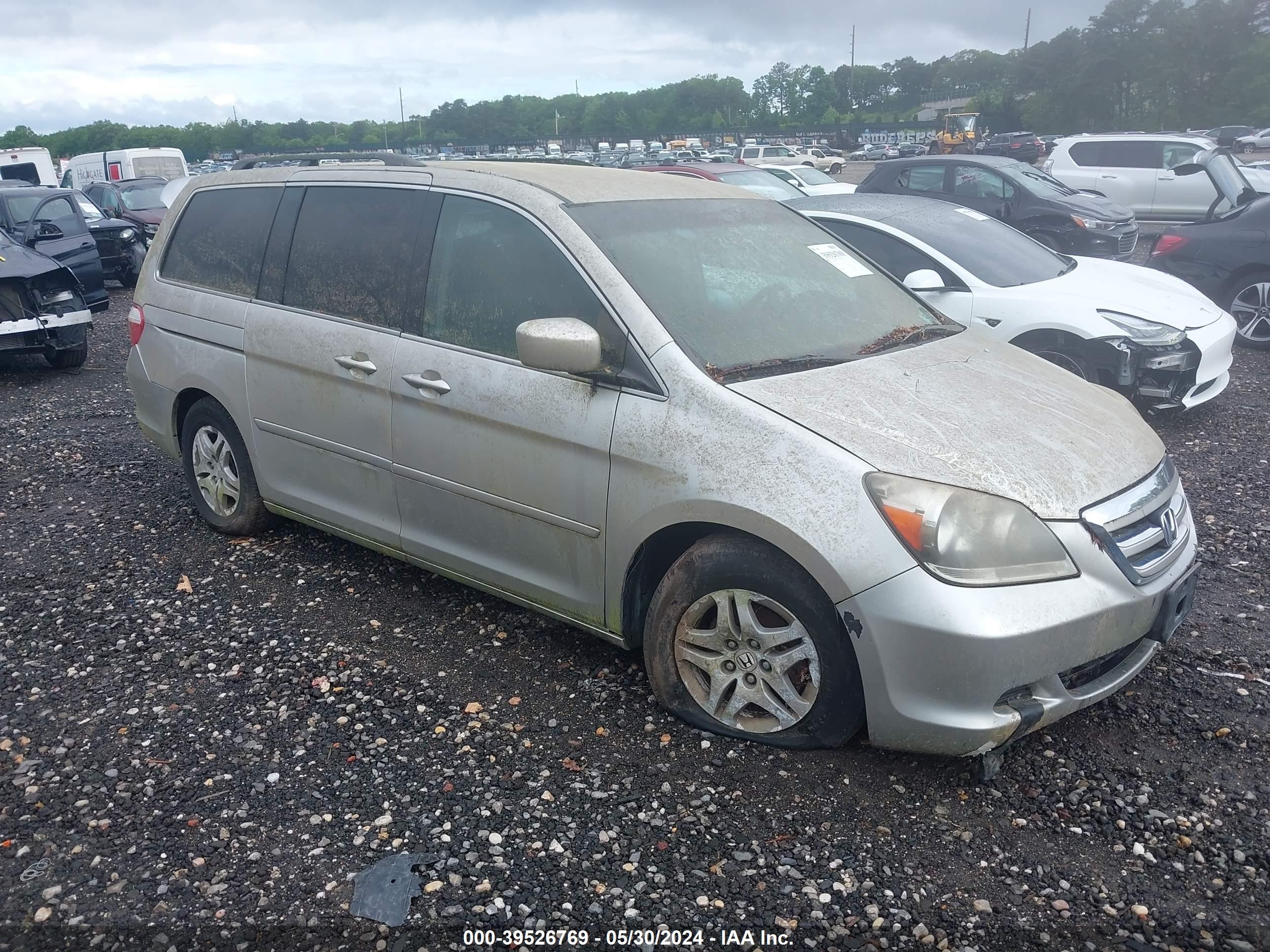 HONDA ODYSSEY 2006 5fnrl38446b042057