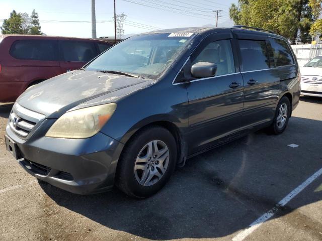 HONDA ODYSSEY EX 2006 5fnrl38446b058999