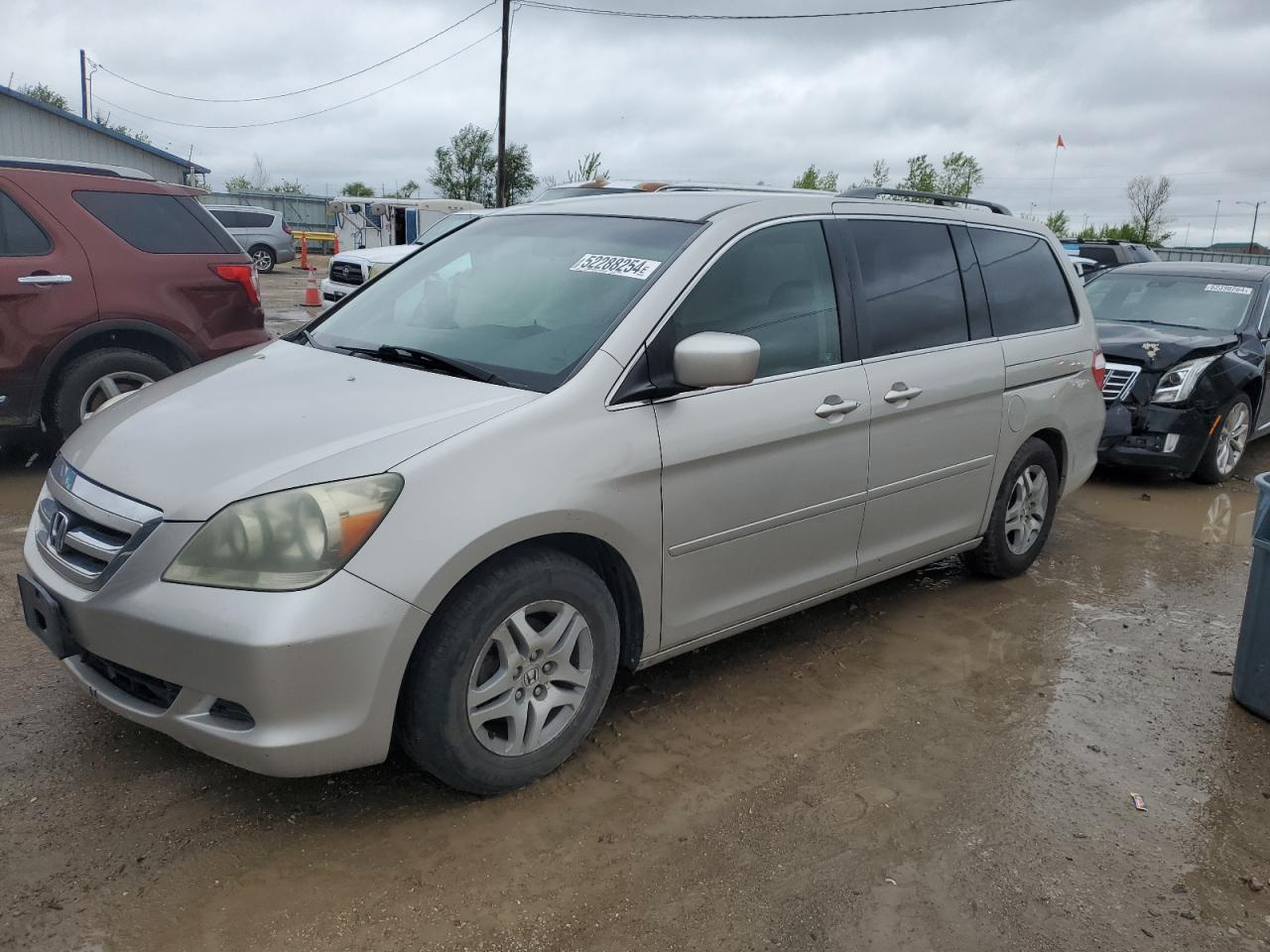 HONDA ODYSSEY 2006 5fnrl38446b408681