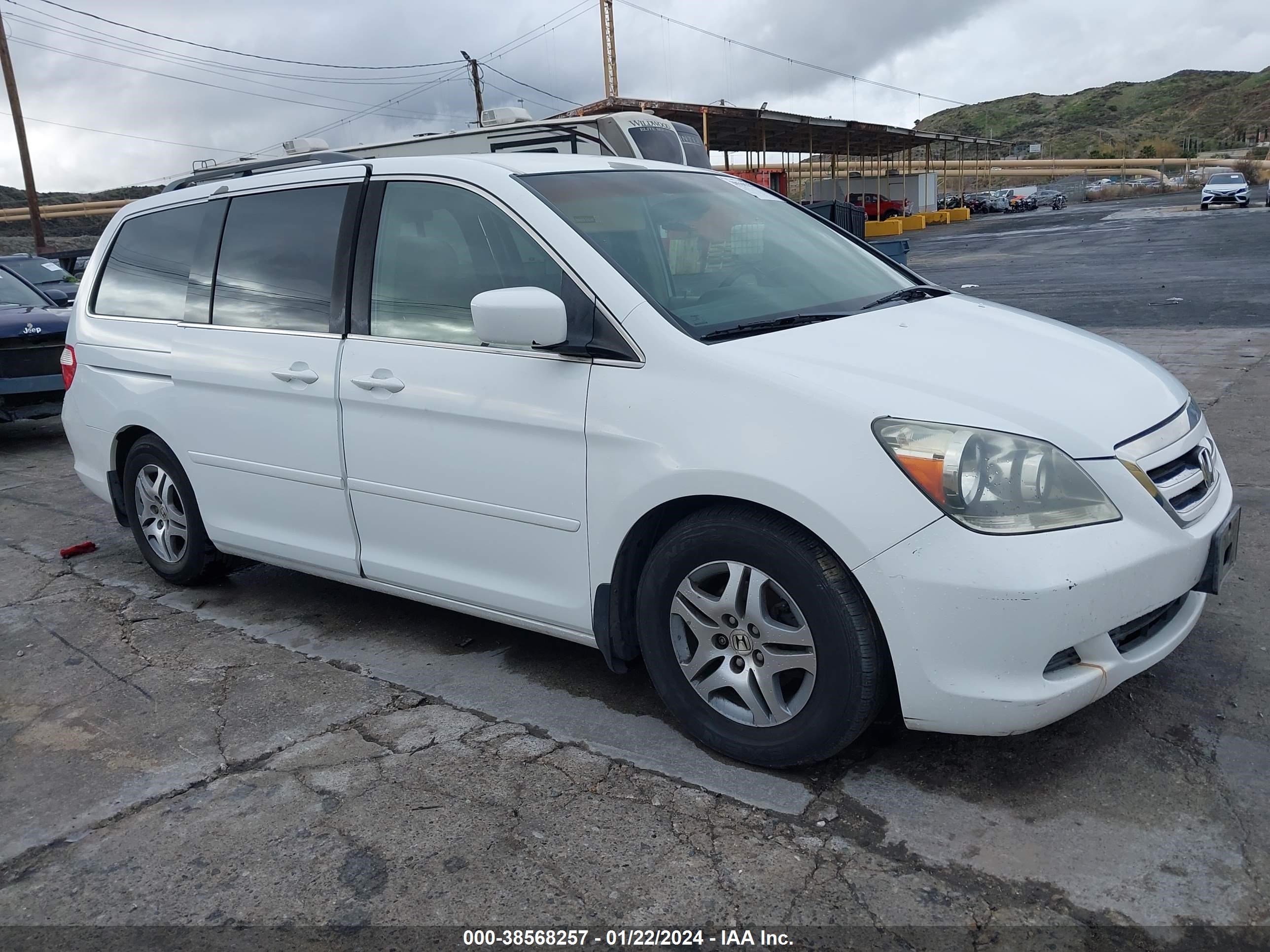 HONDA ODYSSEY 2006 5fnrl38446b451210