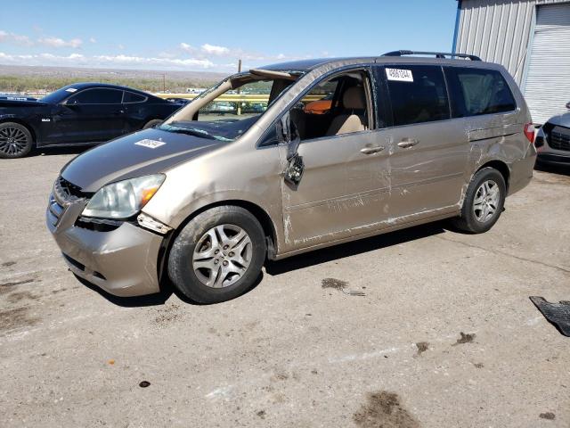 HONDA ODYSSEY EX 2006 5fnrl38446b459131