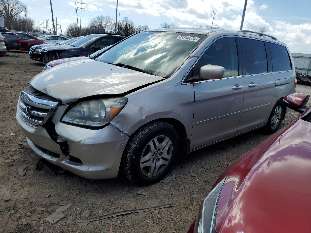 HONDA ODYSSEY 2005 5fnrl38455b404511