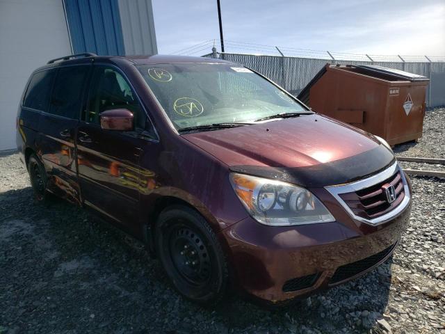 HONDA ODYSSEY EX 2009 5fnrl38459b503710