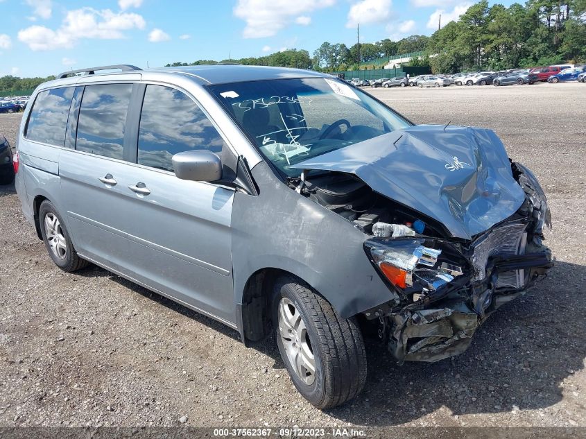 HONDA ODYSSEY 2006 5fnrl38466b084634