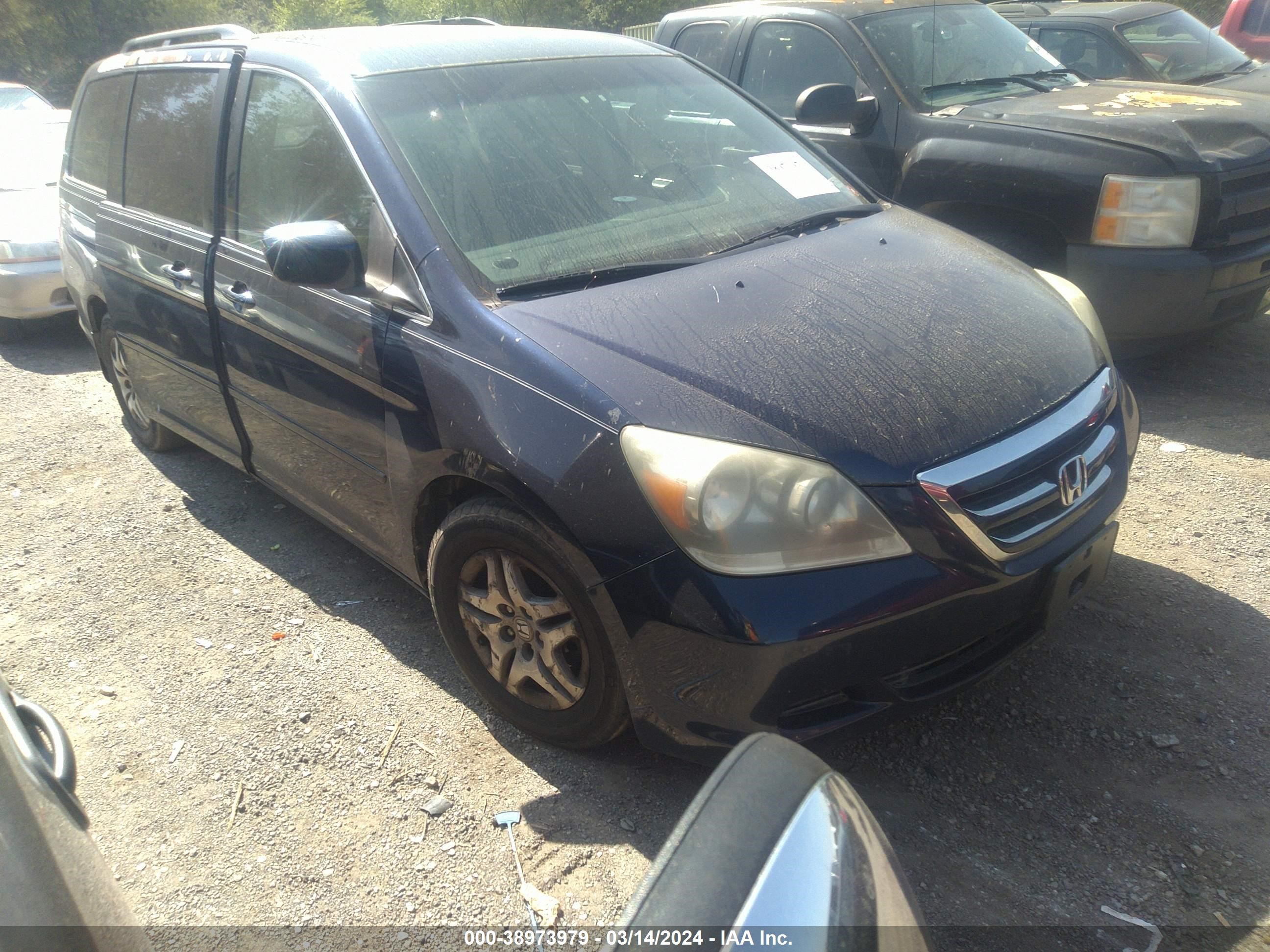 HONDA ODYSSEY 2006 5fnrl38466b101819