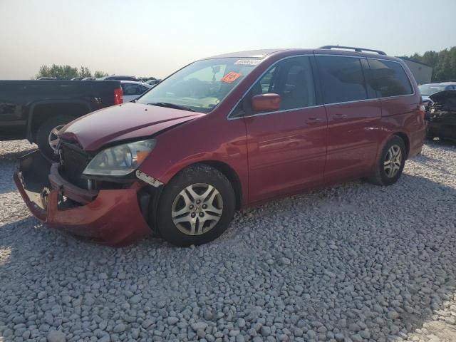 HONDA ODYSSEY EX 2006 5fnrl38466b442802