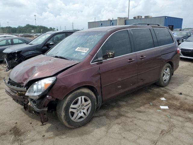 HONDA ODYSSEY EX 2007 5fnrl38467b046614