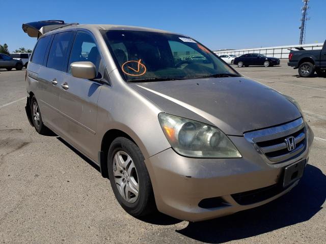 HONDA ODYSSEY EX 2007 5fnrl38467b073943