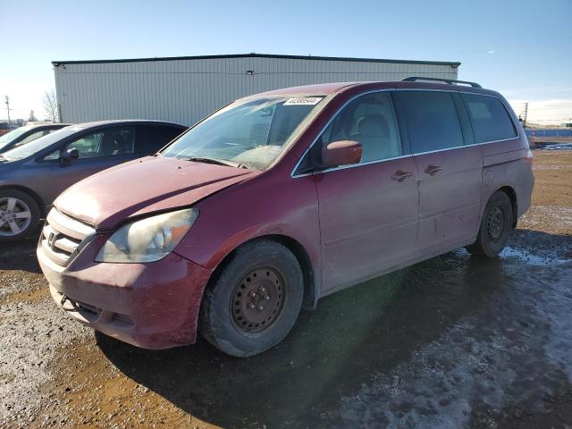 HONDA ODYSSEY EX 2006 5fnrl38476b508788