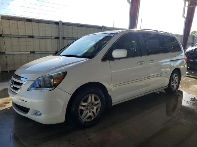 HONDA ODYSSEY EX 2007 5fnrl38477b112877