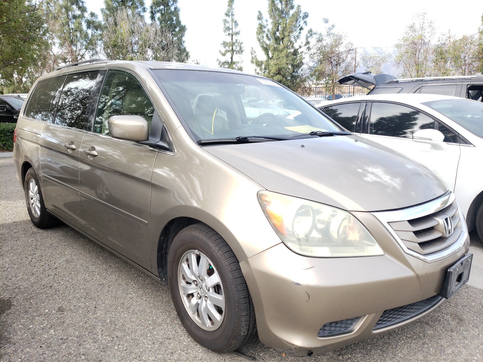 HONDA ODYSSEY EX 2009 5fnrl38479b412115