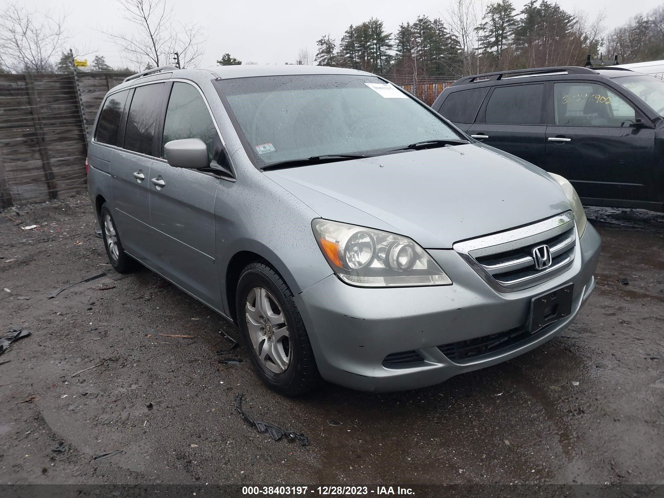 HONDA ODYSSEY 2005 5fnrl38485b078204