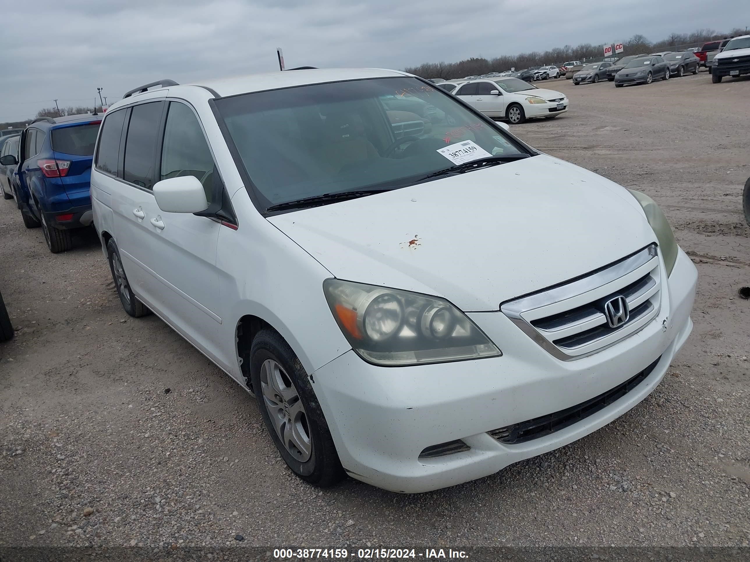 HONDA ODYSSEY 2006 5fnrl38486b417934