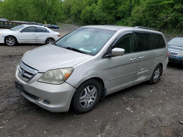 HONDA ODYSSEY 2006 5fnrl38486b449024