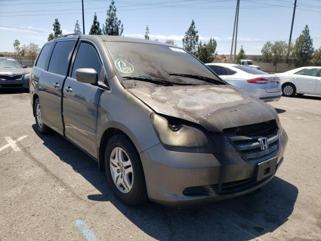 HONDA ODYSSEY EX 2007 5fnrl38487b070980