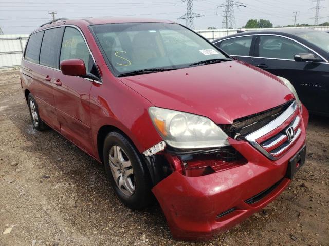 HONDA ODYSSEY EX 2005 5fnrl38495b071715