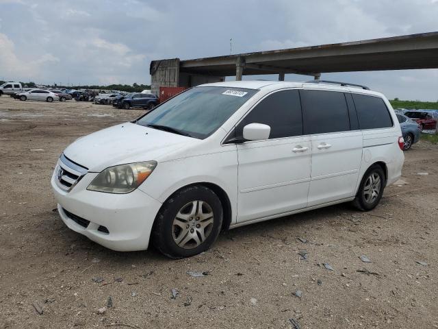 HONDA ODYSSEY EX 2007 5fnrl38497b430029