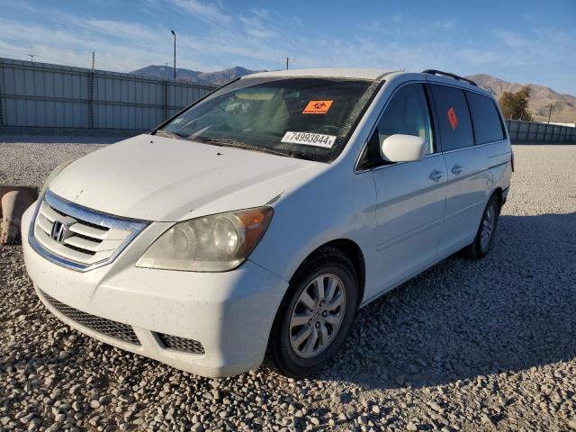 HONDA ODYSSEY EX 2009 5fnrl38499b021161