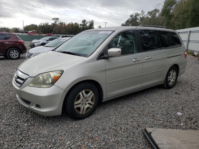 HONDA ODYSSEY EX 2005 5fnrl384x5b062845