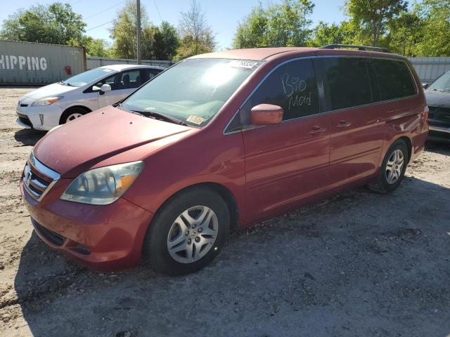 HONDA ODYSSEY EX 2006 5fnrl384x6b430684