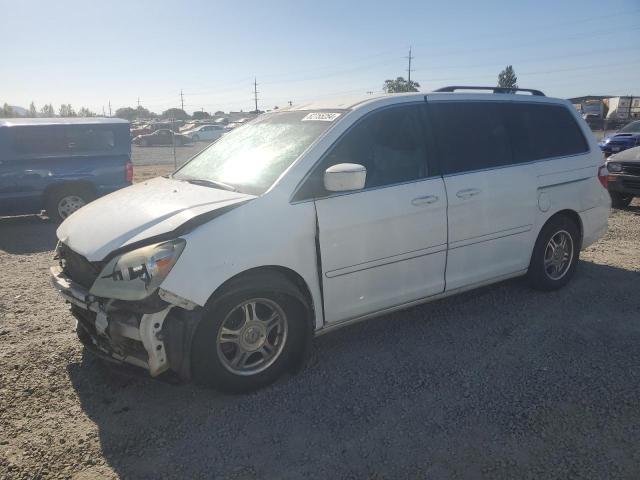 HONDA ODYSSEY LX 2006 5fnrl384x6b455620