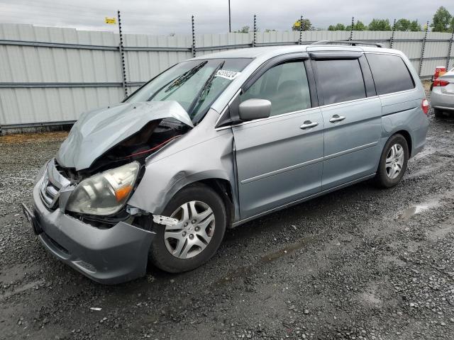 HONDA ODYSSEY EX 2007 5fnrl384x7b111996