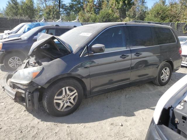 HONDA ODYSSEY EX 2005 5fnrl38605b424828