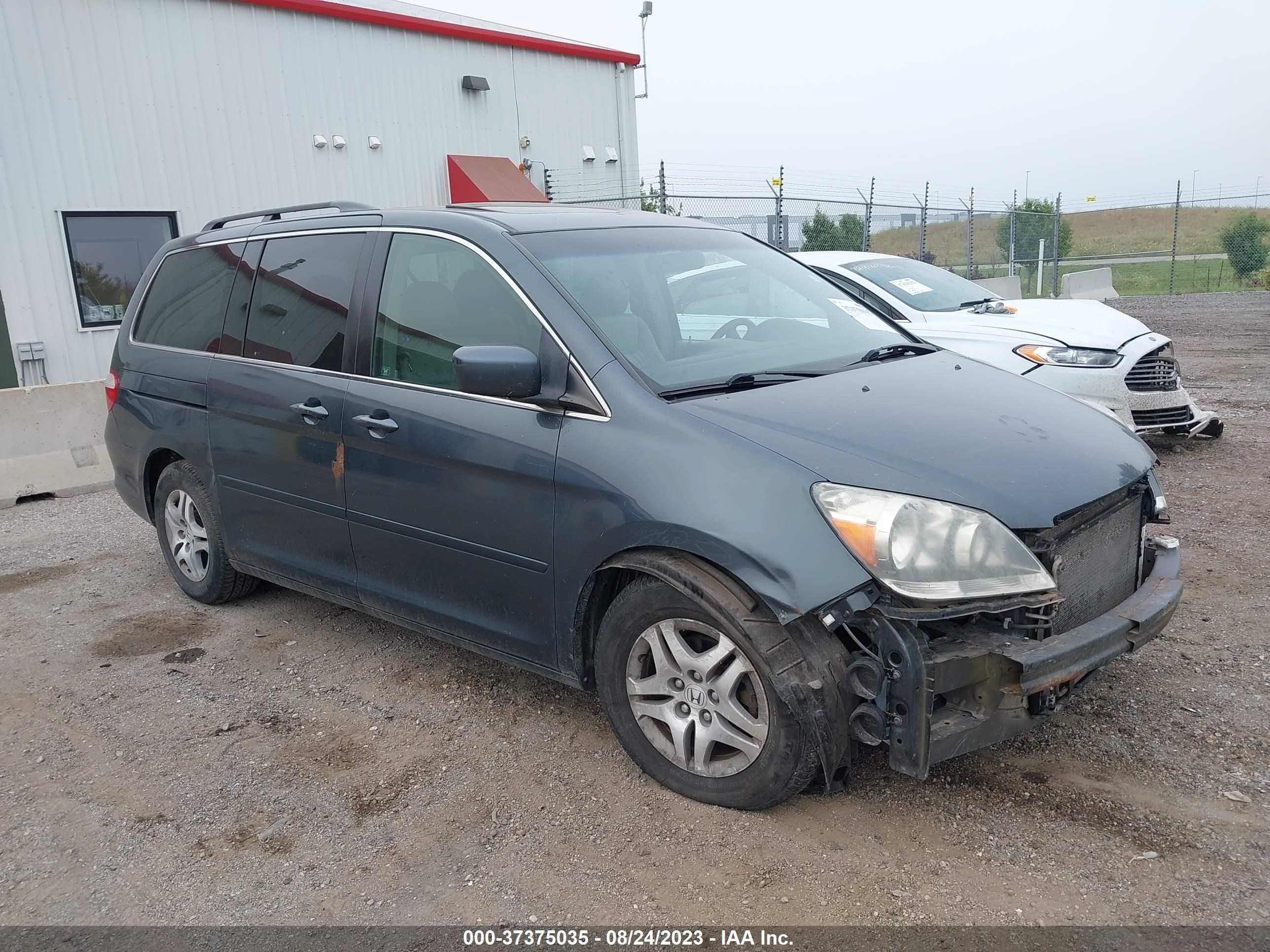 HONDA ODYSSEY 2006 5fnrl38606b460391